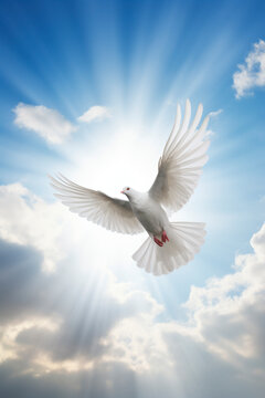 White dove in the sky. Generative AI,