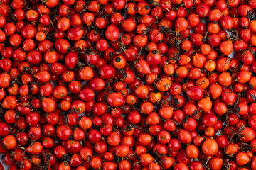 pile of red dog-rose rosehip fruits full frame background and texture