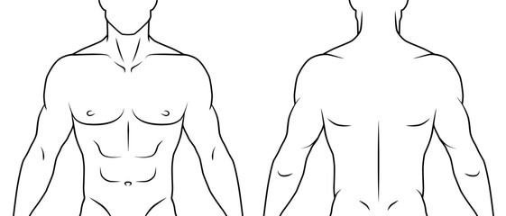 Human body front and back. Black and white outline. White background.