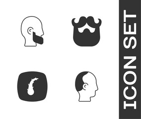 Set Baldness, Mustache and beard, Human hair follicle and icon. Vector