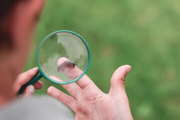 Connecting kids and nature concept. Young boy examine through magnifying glass a slug