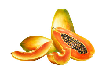 Marker sweet ripe composition of half a papaya with grains watercolor style. Hand drawn realistic tasty organic illustration of exotic tropical fruit isolated on background. For designers, wedd