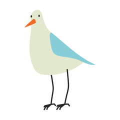 Obraz premium Seagull Bird