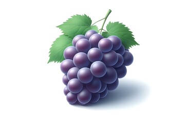 Fototapeta premium A bunch of purple grapes with grape leaves on a white background.with AI generated
