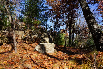 Obraz premium Tall rock stone formations sit in a forest for rock climbing.
