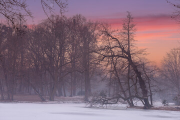 Krajobraz zimowy, mroźny poranek w parku - obrazy, fototapety, plakaty