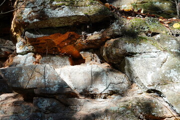 Tall rock stone formations sit in a forest for rock climbing.