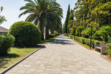 Walking path among the trees in the resort town