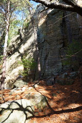 Tall rock stone formations sit in a forest for rock climbing.