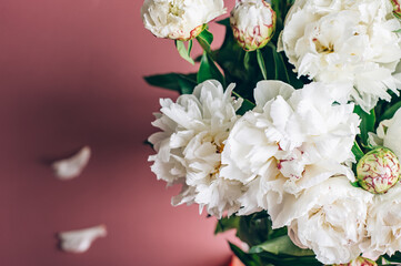Amazing Fresh bunch of white and pink peonies