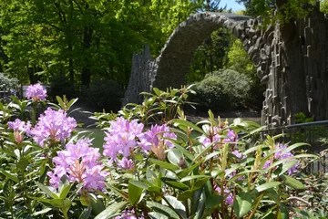 Photo sur Plexiglas Le Rakotzbrücke Impressionen vom Azaleen- und Rhododendronpark Kromlau mit der Rakotzbrücke