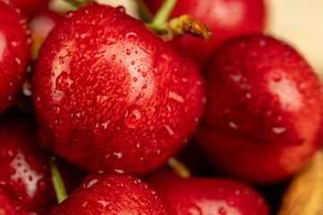 delicious collected and wet cherry berries with pits