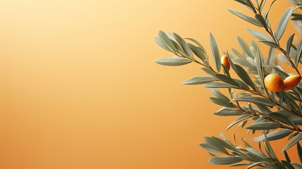 Fototapeta na wymiar a branch of an olive tree with two oranges hanging off of it's leaves on an orange background.