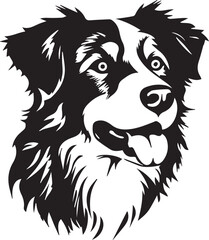 illustration of a Australian Shepherd dog
