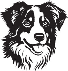 black and white Australian Shepherd dog illustration
