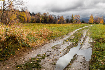 jesienny krajobraz z kałużami na błotnistej polnej drodze 