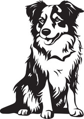 illustration of a Australian Shepherd dog