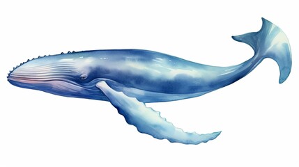 Water color blue whale.Illustration isolated on white.Generative AI