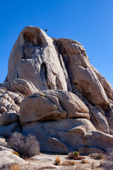 Red rocks made of sandstone, Joshua Trees in Joshua Tree National Park