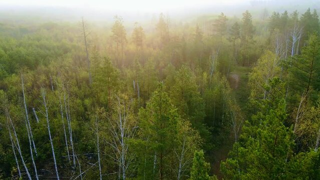 contryside