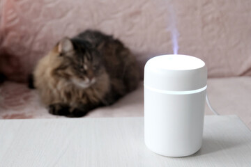 White, electric diffuser in the room. Against the background of a gray cat on the sofa. The concept...
