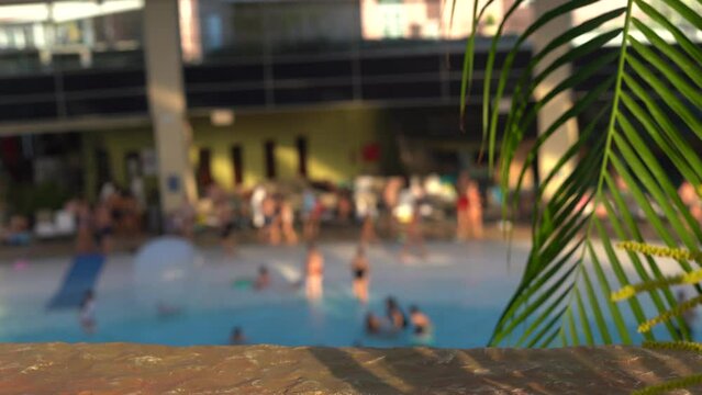 leaves of palm tree near blurred swimming pool in background in indoor beach water park