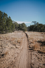 Mountain bike trail through desert landscape with pinyon pines near Albuquerque New Mexico
