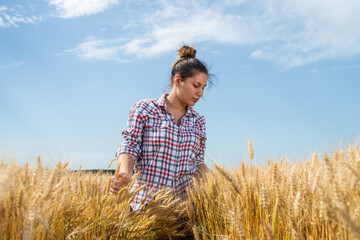 Farmer or agronomist inspect  wheat field