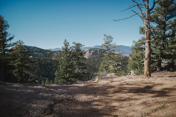 Fototapeta na wymiar View of Pike National Forest mountains pine trees and rocky cliffs near Sedalia Colorado