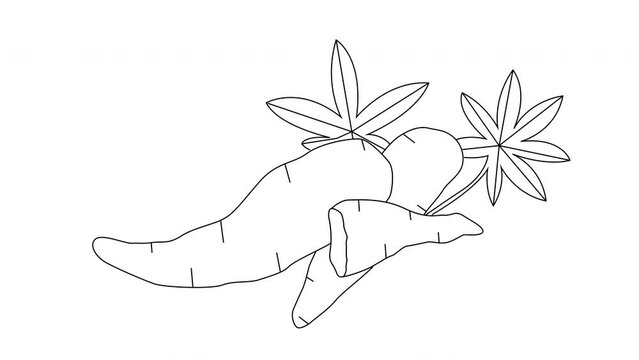 cassava icon sketch animation