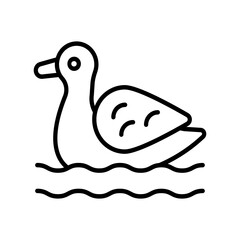 duck
