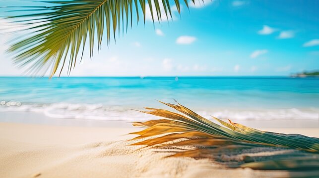 Beautiful wide panorama of a paradise beach with golden sand and palm leaves in blur. Summer banner