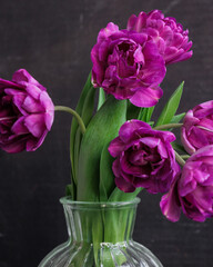 bouquet of dark red lilac tulips in glass vase on dark background. flower bouquet in vase on table. Gift interior decoration. florist, decorator. Flower shop.