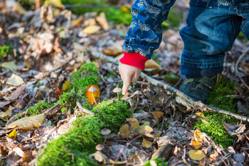 Kleinkind im Herbstwald