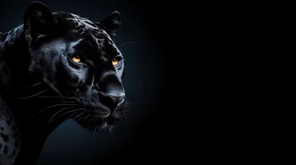 Outdoor-Kissen a black panther with orange eyes © Elena