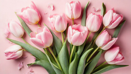 Bouquet of tulips on the pink background