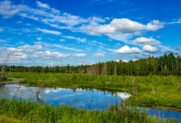 Road side Elk Island National Park Alberta Canada