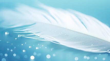 Transparent water droplets on white bird's feather on blue and turquoise background, macro. Dreamy elegant image of fragility and beauty of nature. 