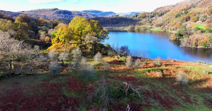 Majestic autumnal view of Lake Waters in Rydal, lake district area of United Kingdom. 
