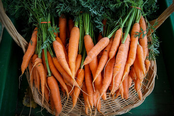 fresh carrots in a market