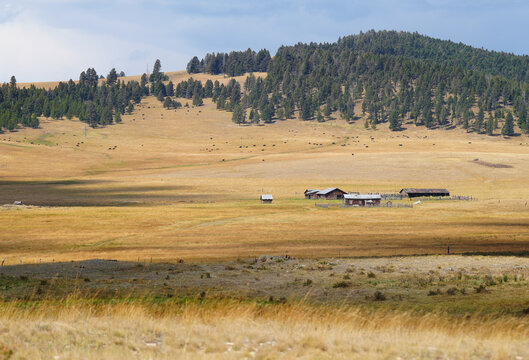 Ranch nestled in the mountains