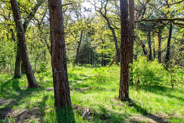 wilde Wuhlheide, Berlin