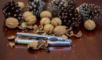 Cracking Christmas nuts using a traditional metal nutcracker. Traditional Christmas background