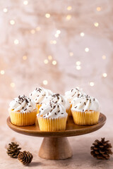 Vanilla Cupcakes