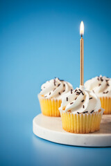 birthday cupcake with a candle