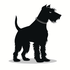 Airedale silhouettes and icons. black flat color simple elegant Airedale animal vector and illustration.