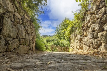 Picture along a cobbled and overgrown hollow way with natural stone walls