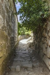 Picture along a cobbled and overgrown hollow way with natural stone walls