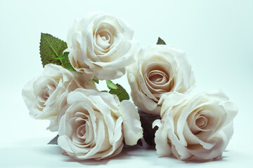 five white artificial roses on a pale blue background