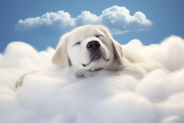 Joyful retriever dreaming on the white fluffy cloud, close-up portrait	